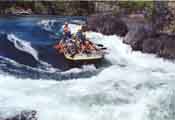 Dandheli Adventure camp